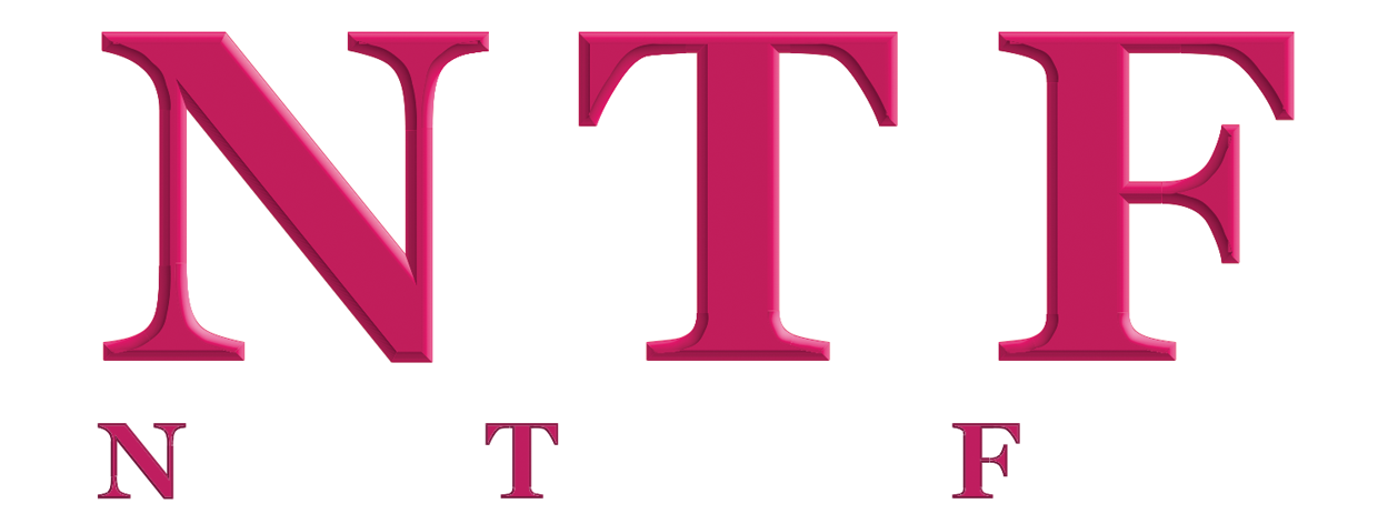 Logo NTF Marmande - Enduiseur, Façadier, Isolation par l'extèrieur, Bardage à Marmande