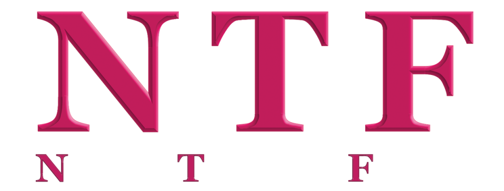 Logo NTF Marmande - Enduiseur, Façadier, Isolation par l'extèrieur, Bardage à Marmande