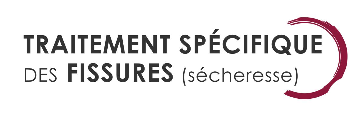 Traitement des fissures sécheresse- NTF Marmande